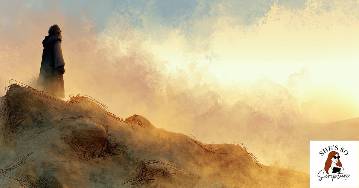 Torah Portion Va’etchanan - "And I Pleaded"