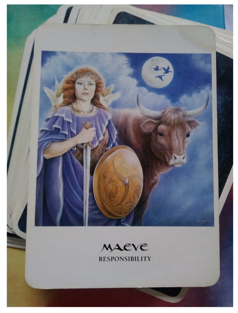 A Message from the Universe - Maeve