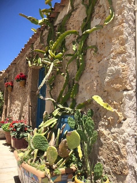 bounganvilla, coffee granita with panna colorful chair and stone buildings in Siciliy cannoli prickly pear cactus Sicily the blue sea