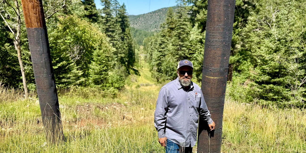 Erosion, Access, and Fire Risk: Inside the Toboggan Canyon Vegetation Project