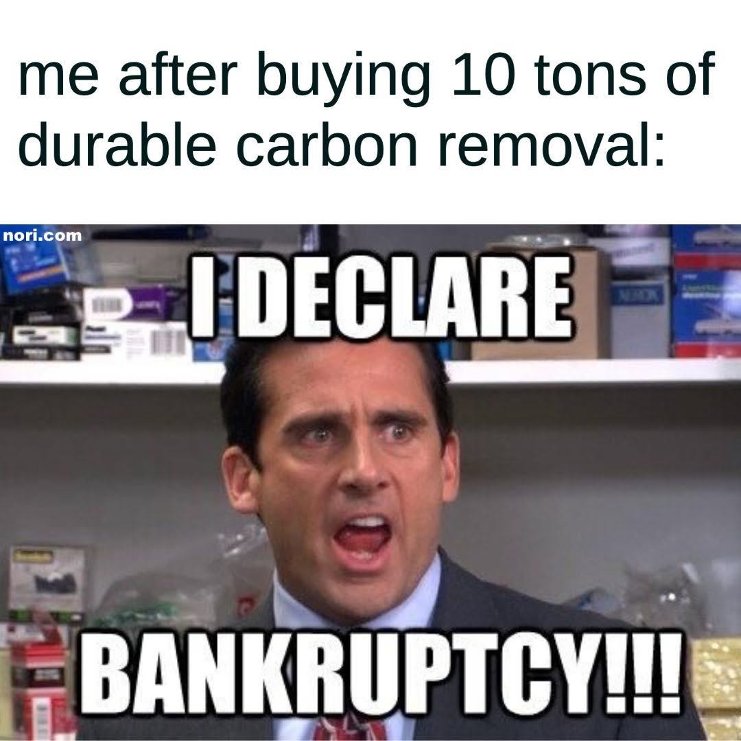 Text: "me after buying 10 tonnes of durable carbon removal:" Below, Michael Scott shouting "I declare bankruptcy!!!"