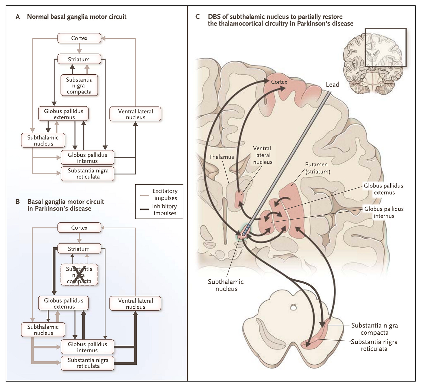 Basal ganglia citcuits. From Okun (2014), NEJM.
