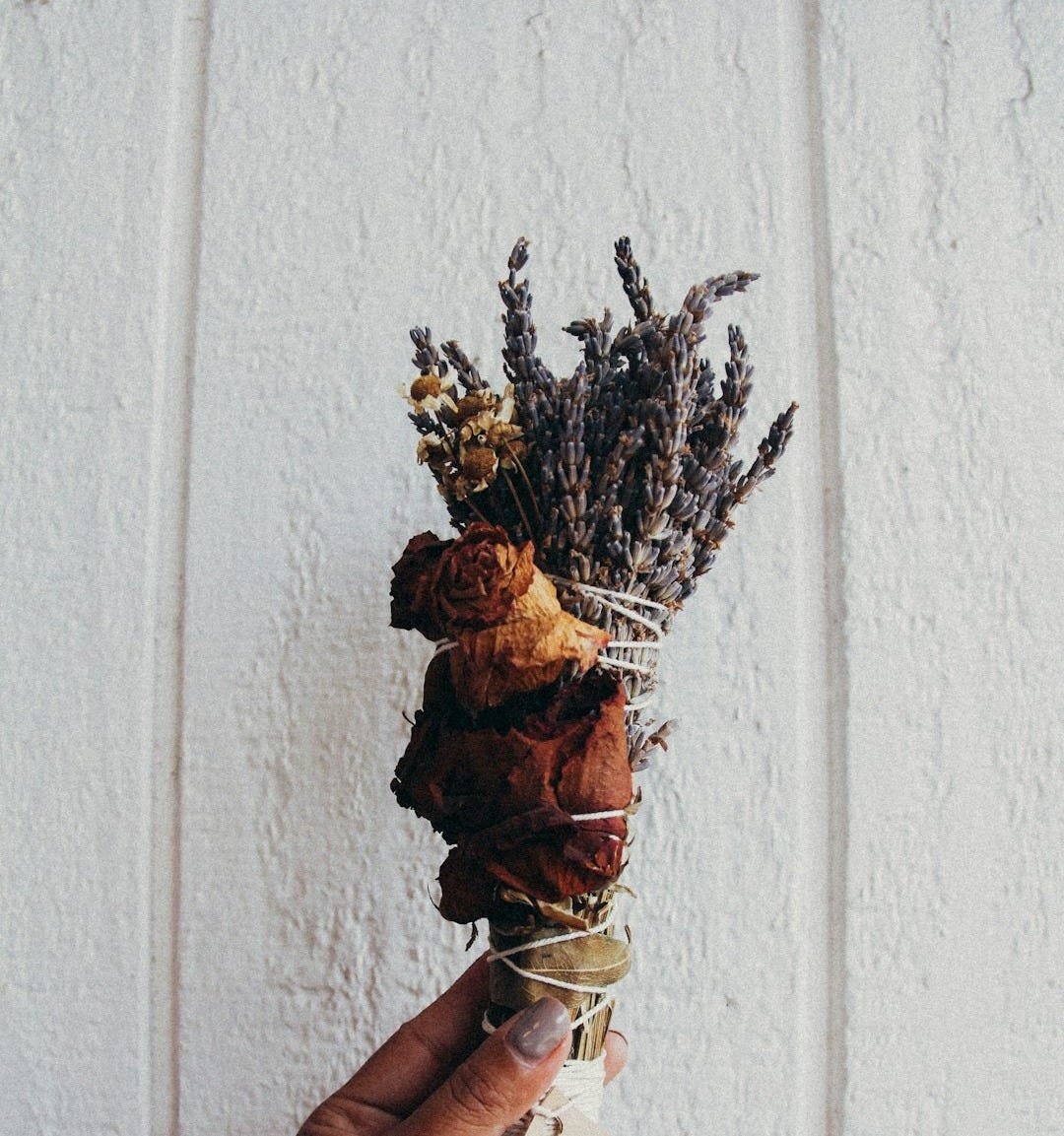 brown dried plant on white ceramic vase