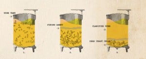 This image from an article on StarChefs.com shows how fining works to clarify wine.