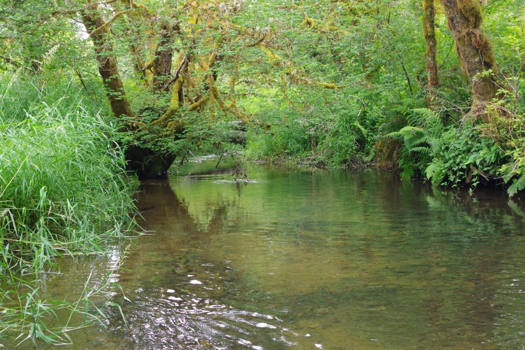 This image has an empty alt attribute; its file name is imgp0671.jpg