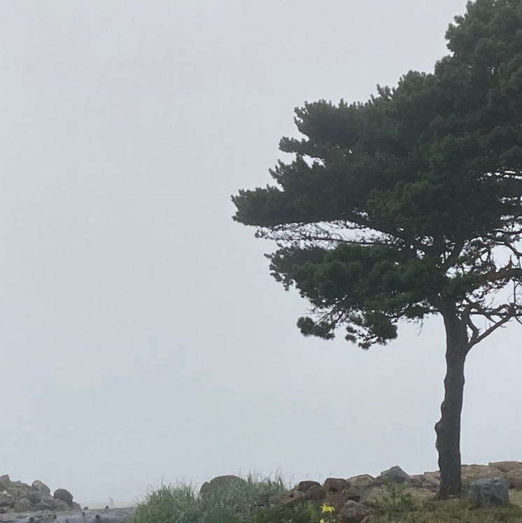 Walking With Wendell