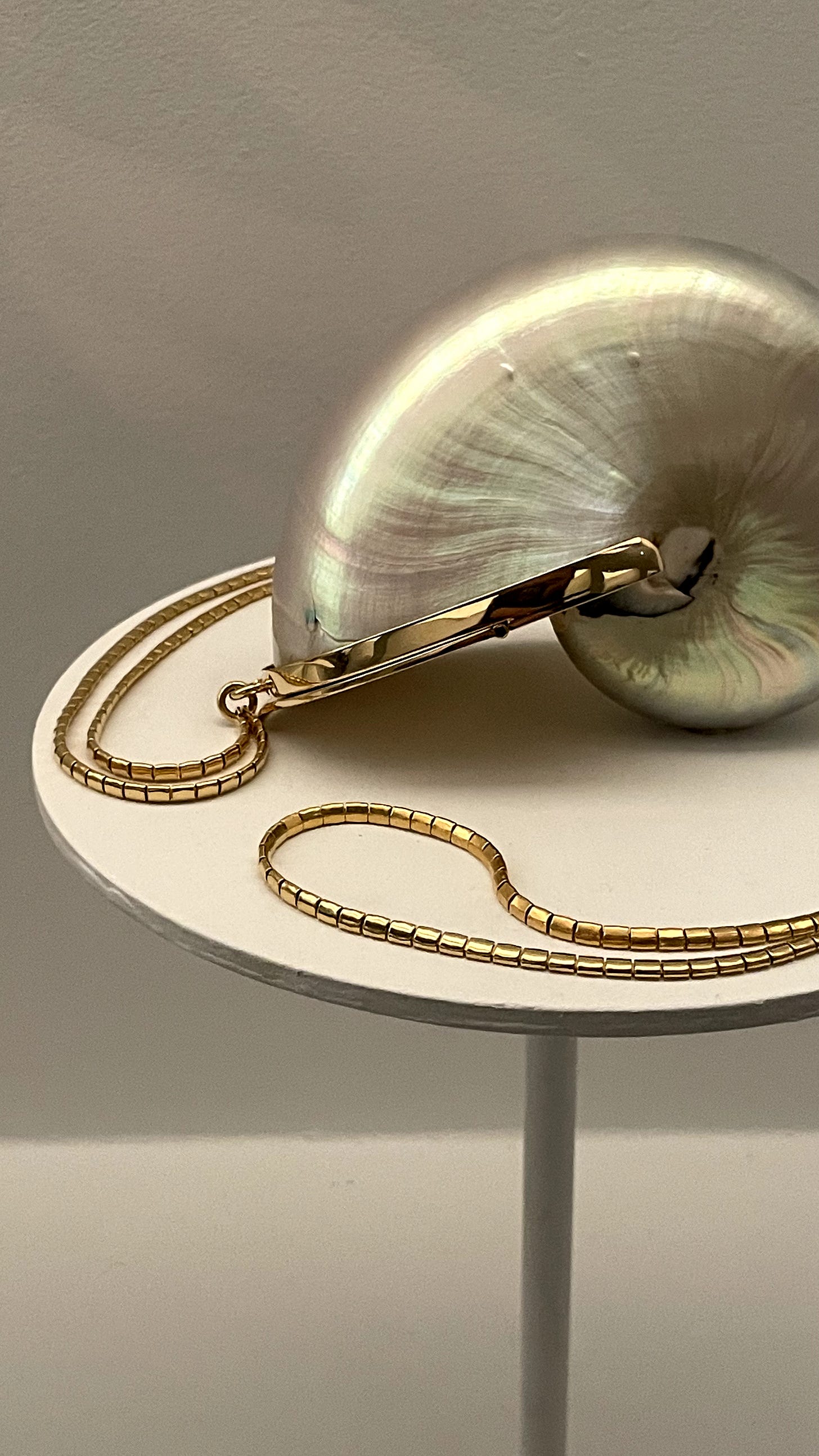A gleaming evening bag made from natural shell trimmed with gold-tone hardware and a delicate gold-tone chain strap.