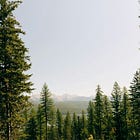 The Joy of Rising: Why I'm Focusing on Elevation This June