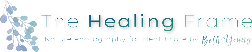 The Healing Frame: Nature Photography for Healthcare