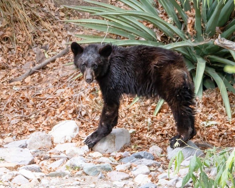 20240623-AZYBC-888-Edit.jpg 20240623-AZYBC-888-Edit.jpg