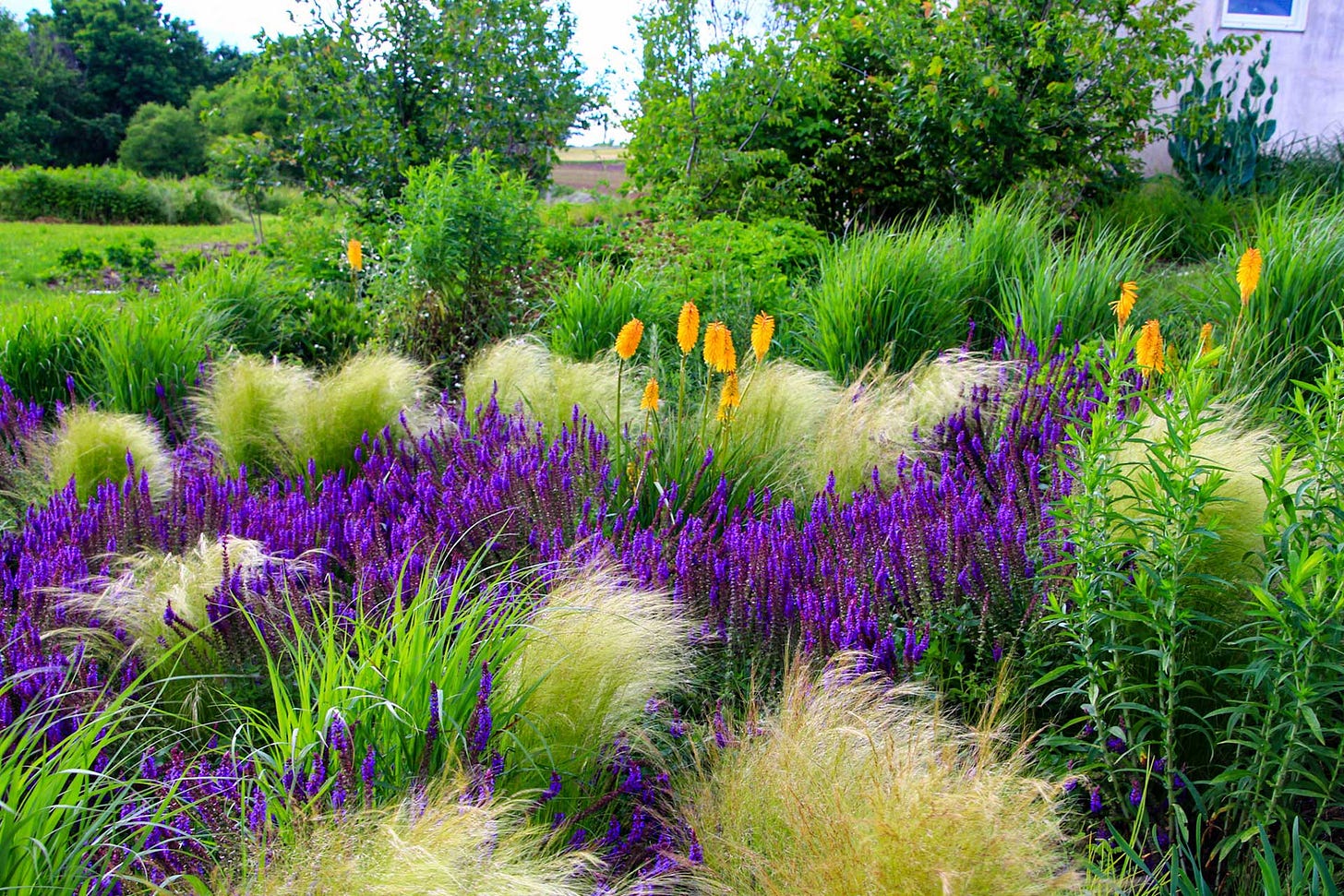 Donald Pell Gardens – Landscape and Garden Design Donald Pell Gardens – Landscape and Garden Design