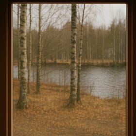 The Art of Stillness