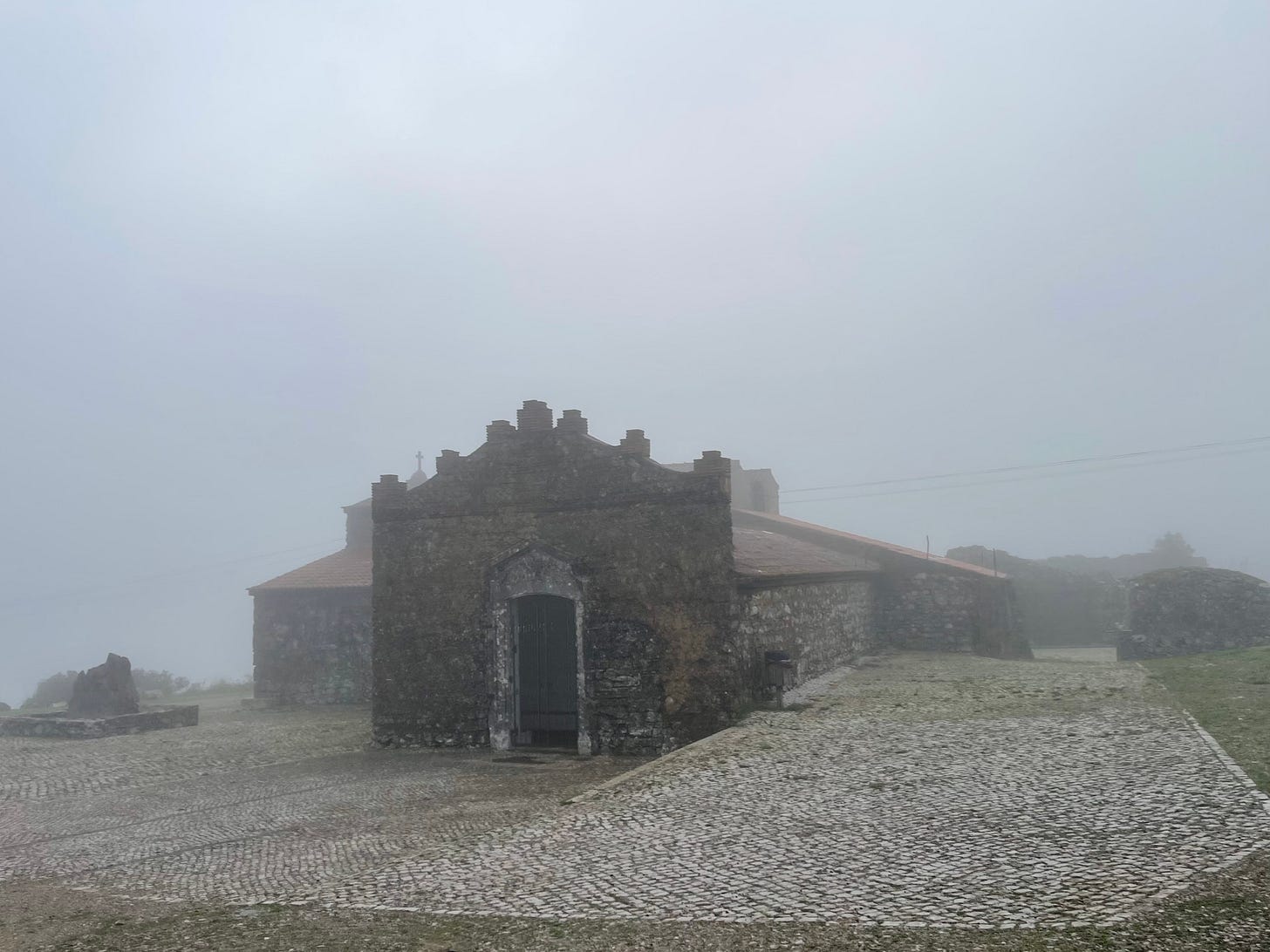 IMG_5643.jpeg