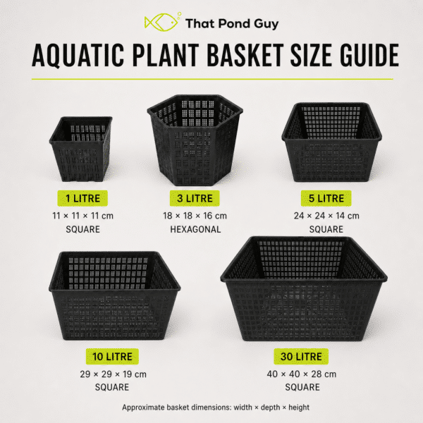 Aquatic plant basket size guide comparing 1, 3, 5, 10 and 30 litre baskets with approximate dimensions