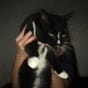 Carissa's avatar