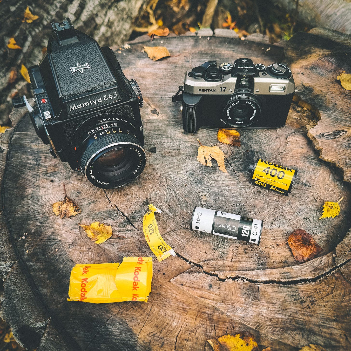 A Mamiya 645 and a Pentax 17 on a tree stump.