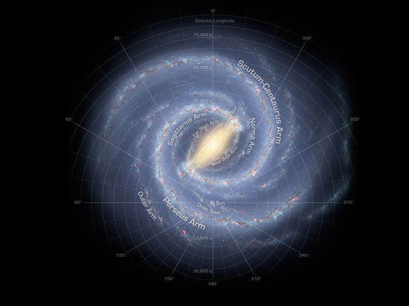 Look at that nougaty center, mmmmm