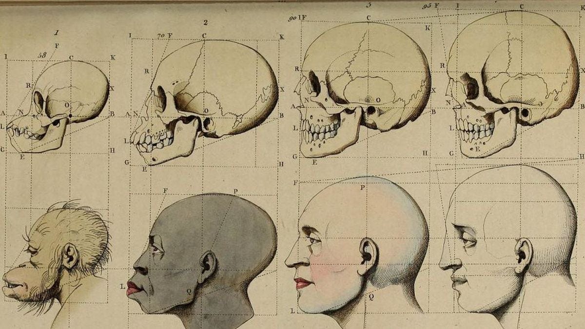 Debemos seguir empleando el concepto de raza? | Ciencia | EL PAÍS