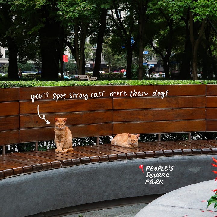 People's Square Park