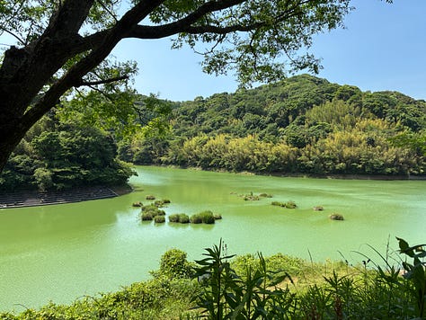 views of a deep-green reservoir surrounded by trees and fields far below on the other side of the dam