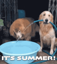 Summer Fun GIFs | Tenor Summer Fun GIFs | Tenor