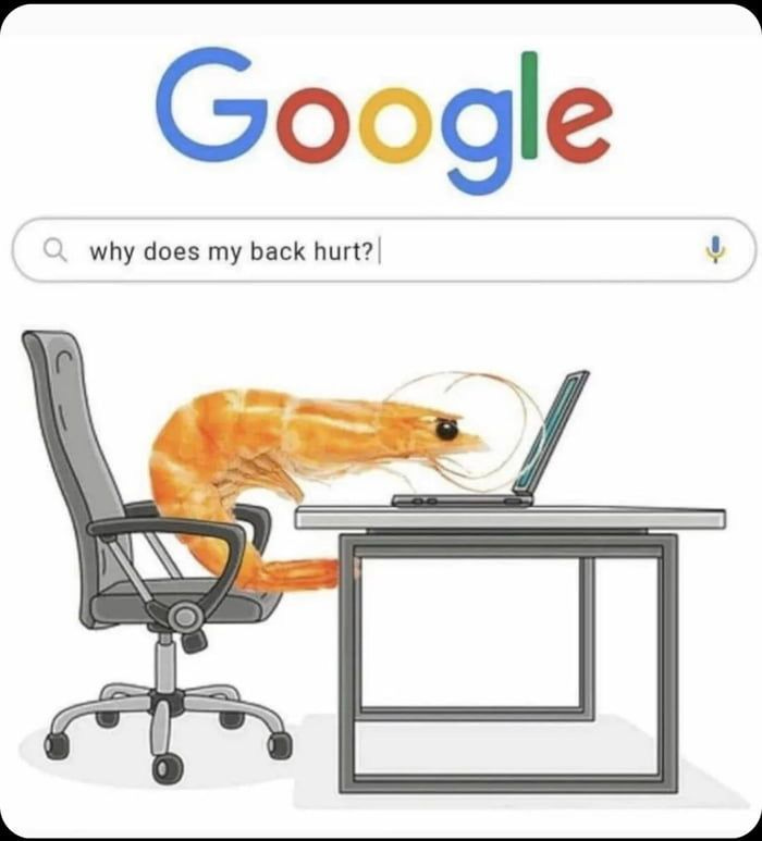 Shrimp - Funny