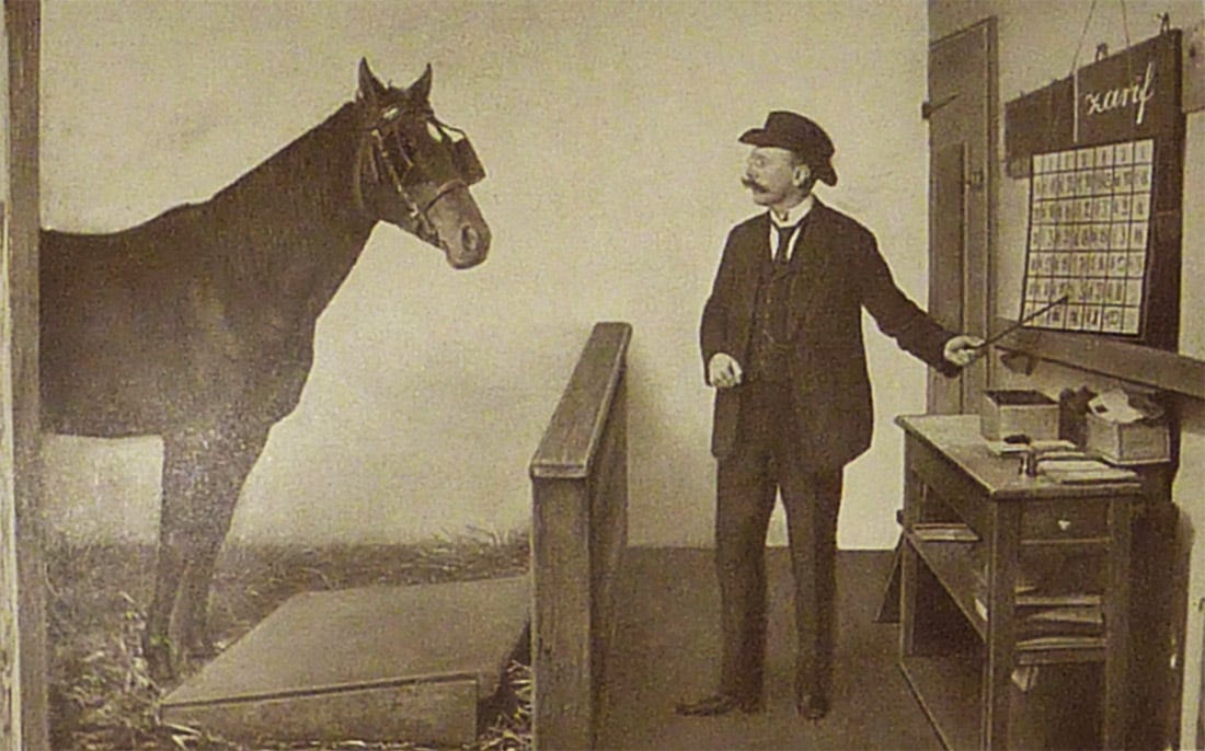Clever Hans the Math Horse • Damn Interesting