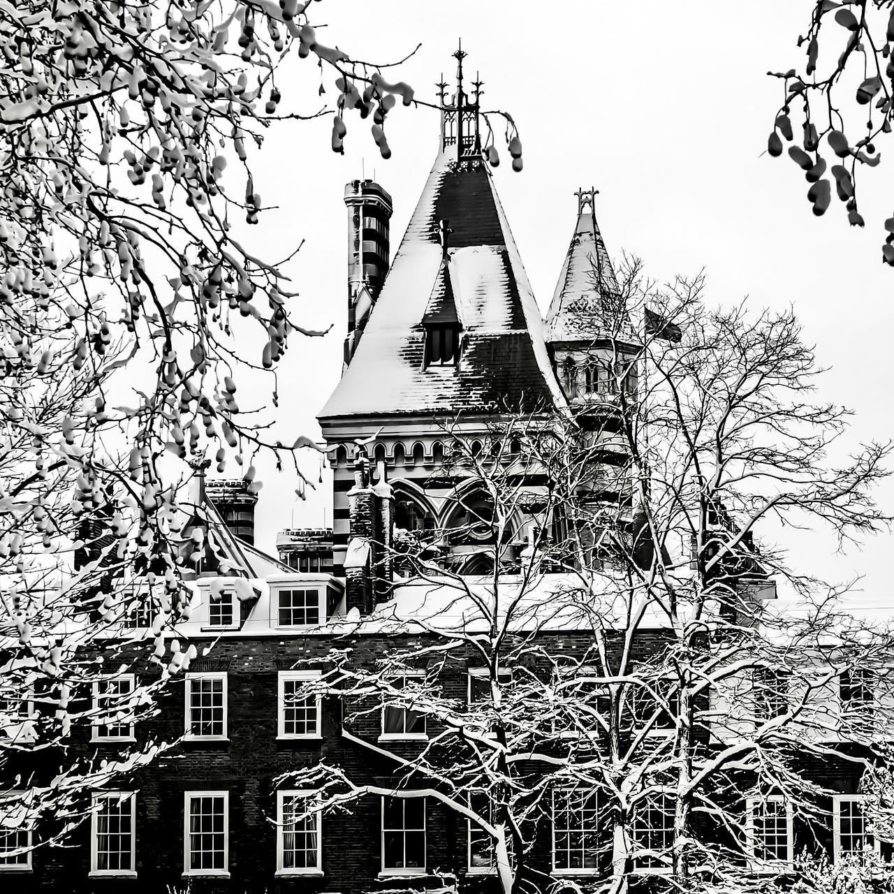 Bleak House Revisited