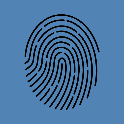 The Idiosyncratic Classroom