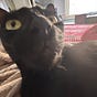 lushcoco's avatar