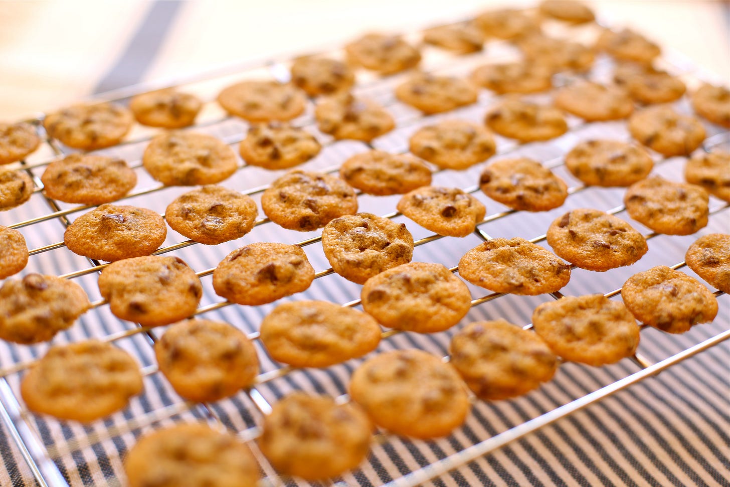 Tiny Chocolate Chip Cookies 