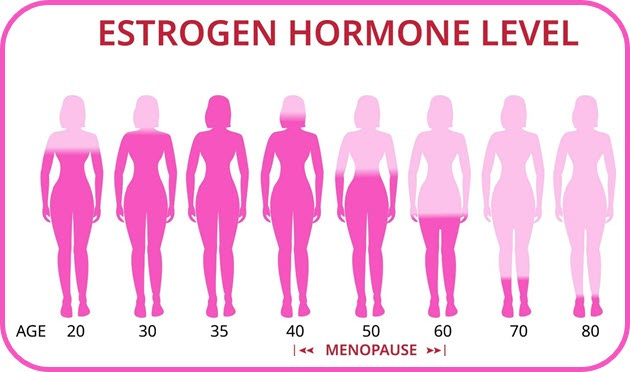 estrogen