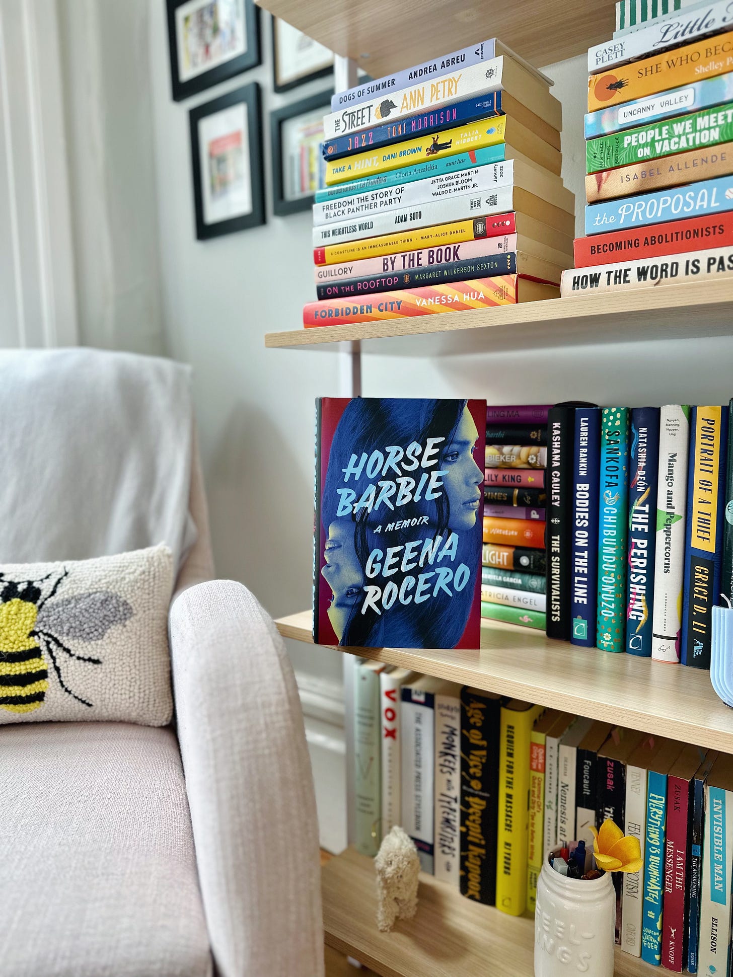 Horse Barbie on a bookshelf, facing outwards, next to rows and stacks of books and a pink reading chair.