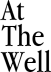 At The Well with Jared C. Wellman