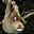 Hugh Diviny's avatar