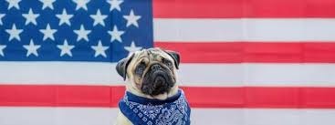 Presidential Pets Through the Years ...