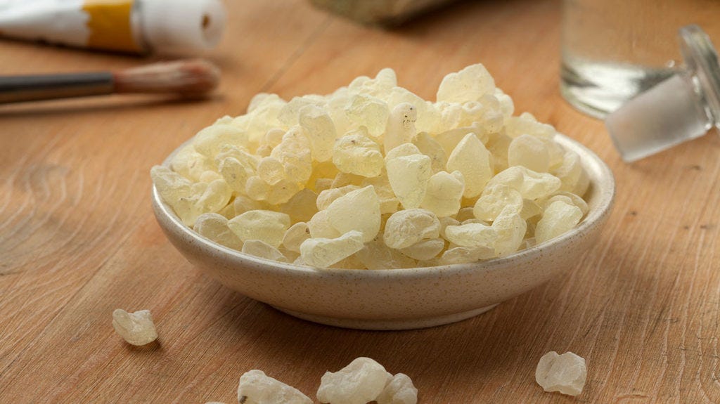 Mastic gum: Uses, benefits, side effects, and more