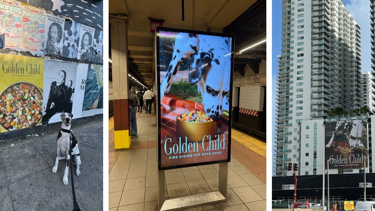 Ads of the Week: grill obsessions, zombified runners and shower delusions | The Drum Ads of the Week: grill obsessions, zombified runners and shower delusions | The Drum