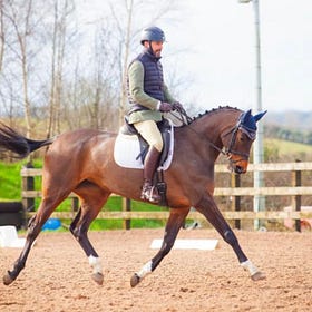 Winter Dressage finale approaches at Ardnacashel