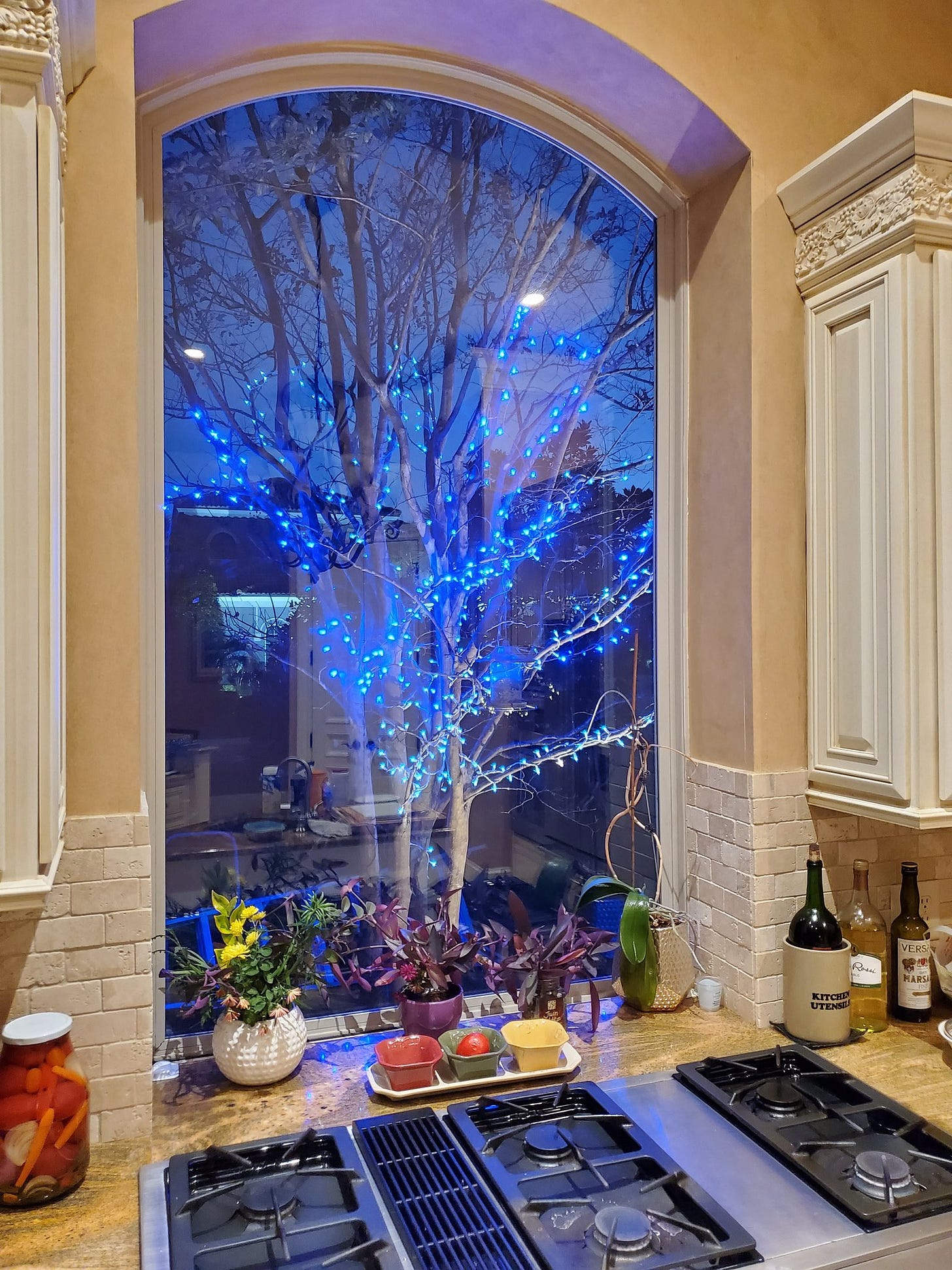Mark's Kitchen top view