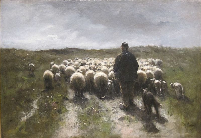 File:'Shepherd and Sheep' by Anton Mauve, Cincinnati Art Museum.JPG