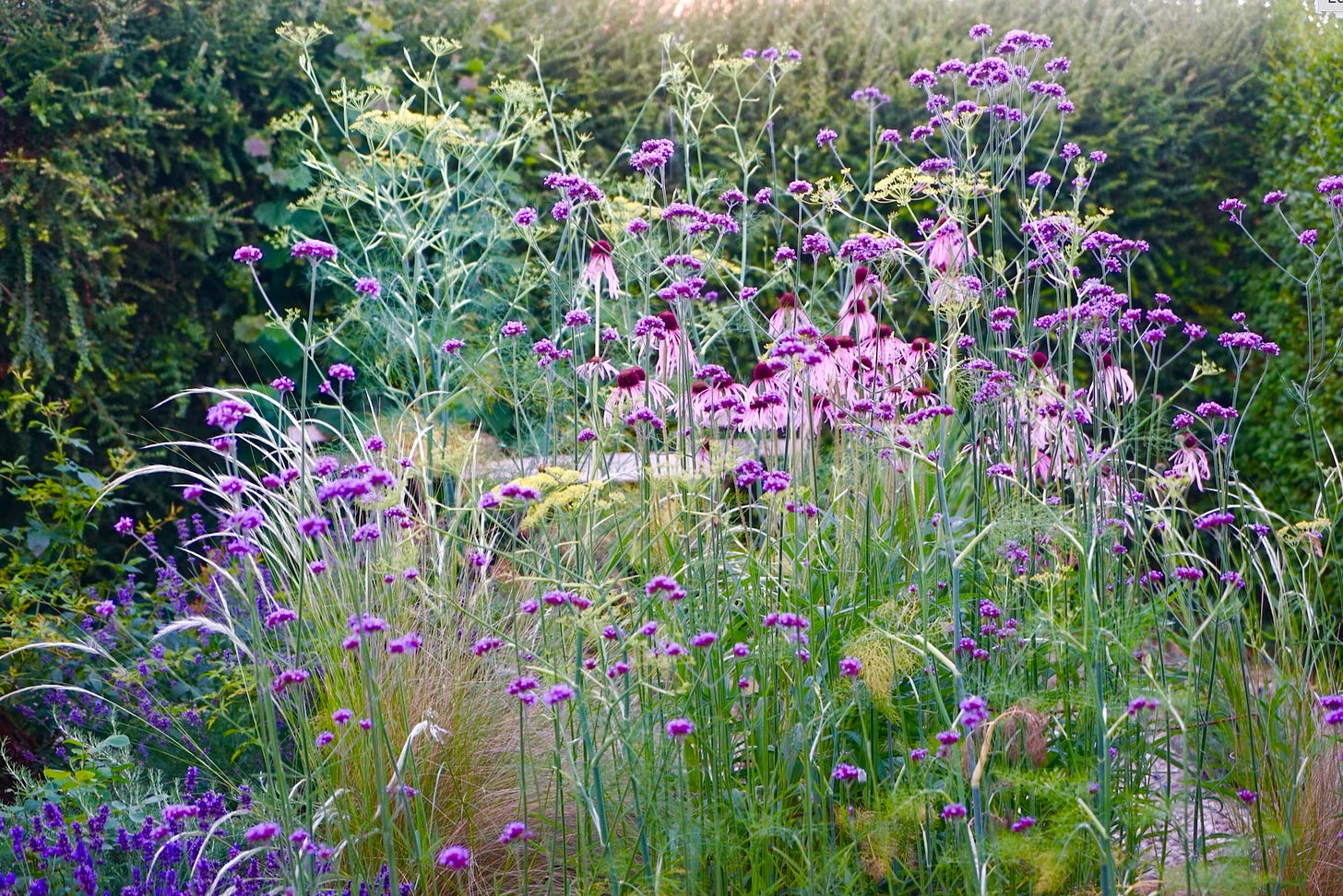 a gravel garden