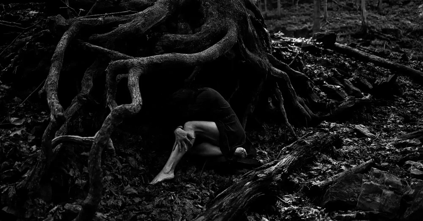 Into the wilderness by Ann Nguyen, Photography, Digital | Art Limited
