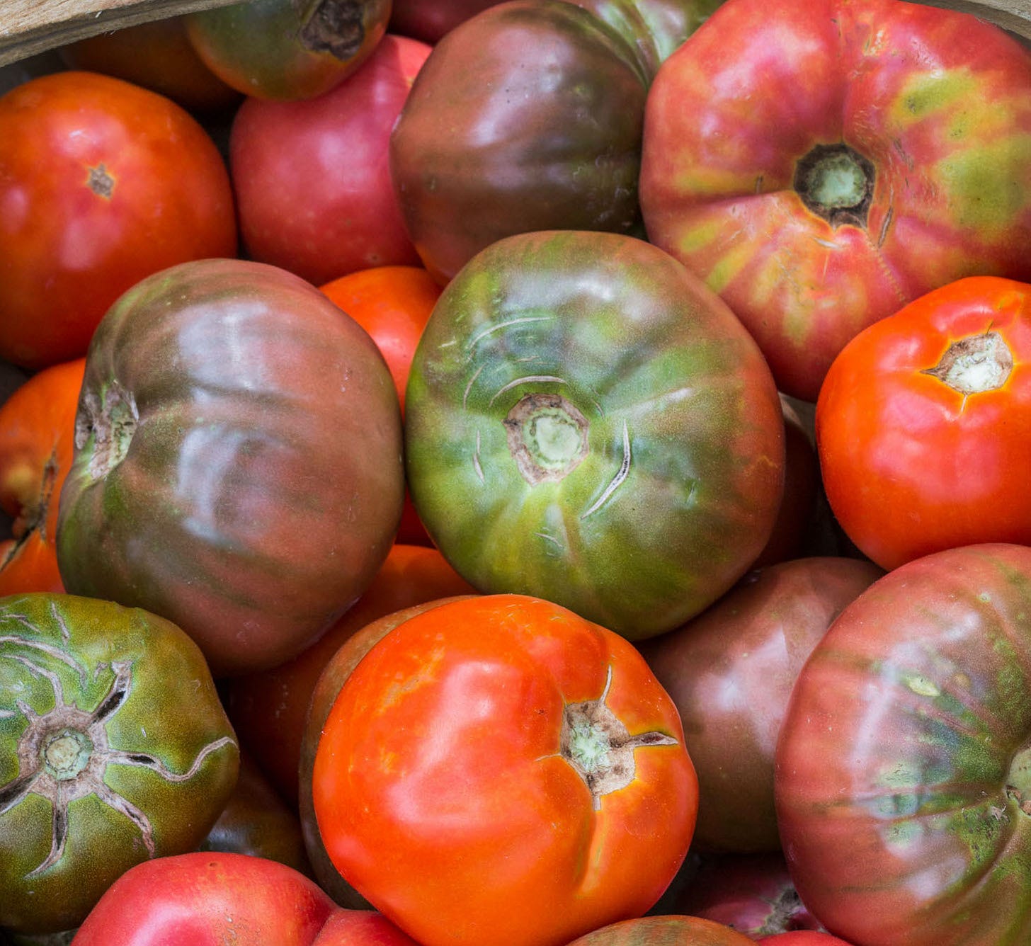 Heirloom tomatoes, photographed by Robert Clark