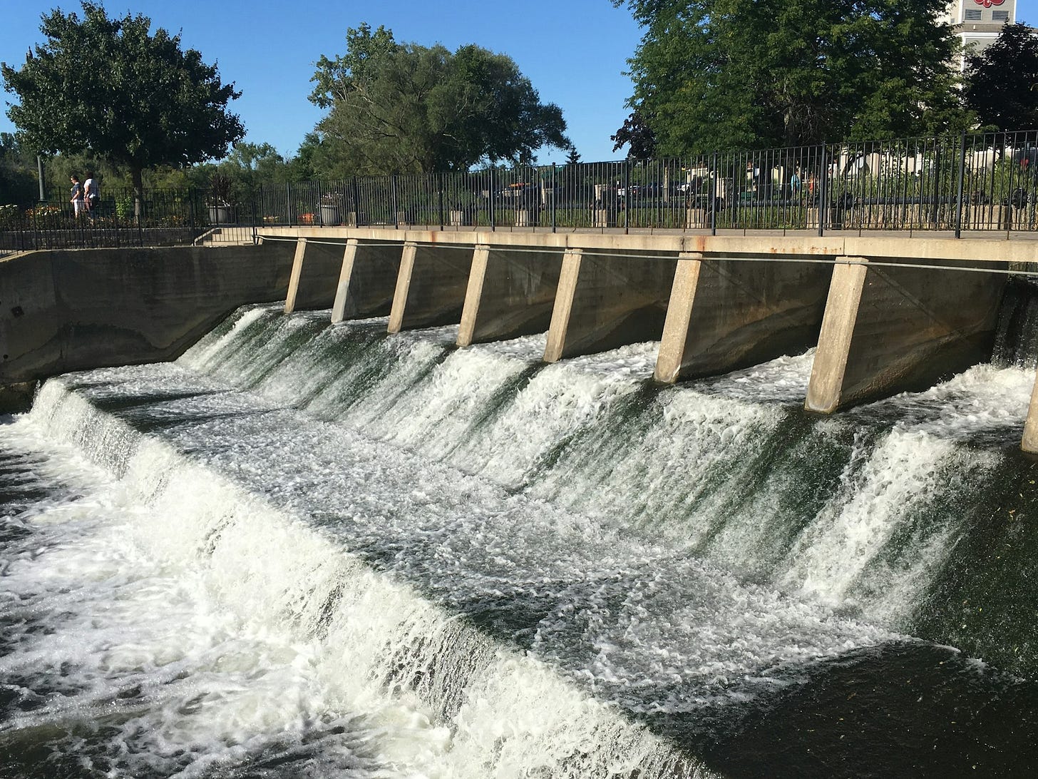 water falls from a dam in the middle of green trees