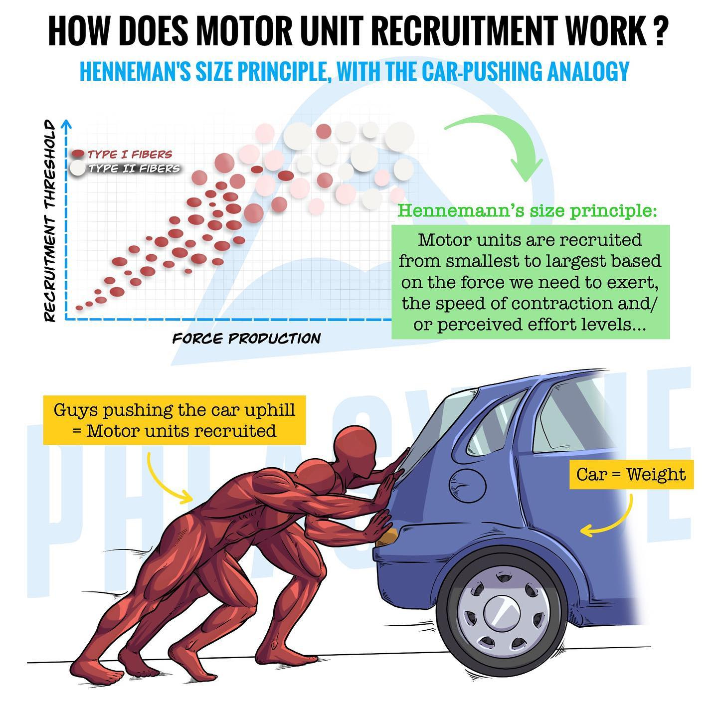 No photo description available.