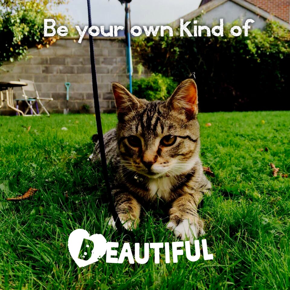 Freedom of Truth\ud83d\udd4a️