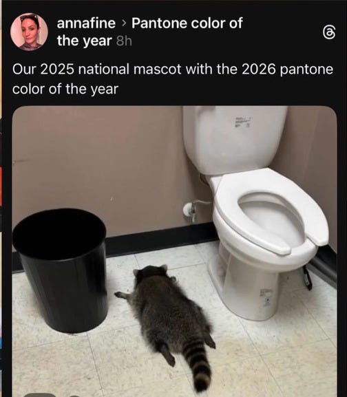 A raccoon sleeping next to a white toilet captioned "Our 2025 national mascot with the 2026 Pantone color of the year." A raccoon sleeping next to a white toilet captioned "Our 2025 national mascot with the 2026 Pantone color of the year."