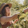 FIELD NOTES