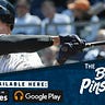 Bronx Pinstripes